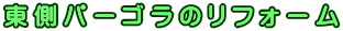 �����p�[�S���̃��t�H�[��