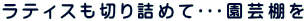 ���e�B�X���؂�l�߂ĥ�����|�I��