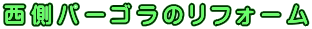 �����p�[�S���̃��t�H�[��