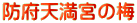 防府天満宮の梅
